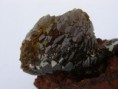 /album/kepgaleria-fenykepgaleria/adamin-2-4x4x3-507-jpg/